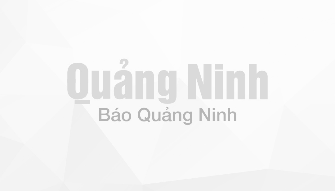 Thanh kiếm Trung Hoa - Tập 15